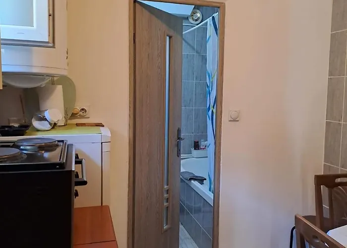 Std- Na Lepom Plavom Dunavu *